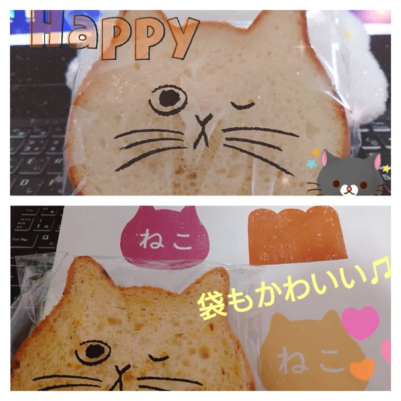 No.37 ： ねこねこ食パンはやっぱり可愛かったฅ(＾・ω・＾ฅ) Part②